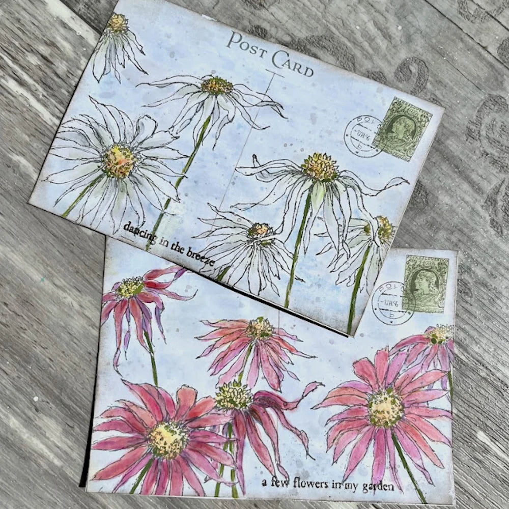 Eclectica³ Alison Bomber Coneflowers Edition EAB49