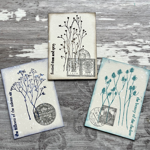Eclectica³ Alison Bomber Winter Grasses 42