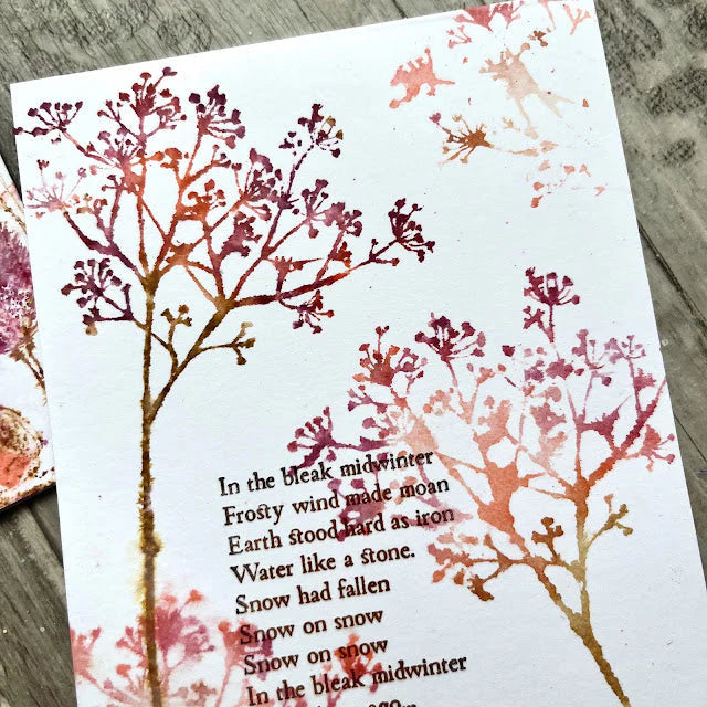 Eclectica³ Alison Bomber Winter Umbels Edition 44
