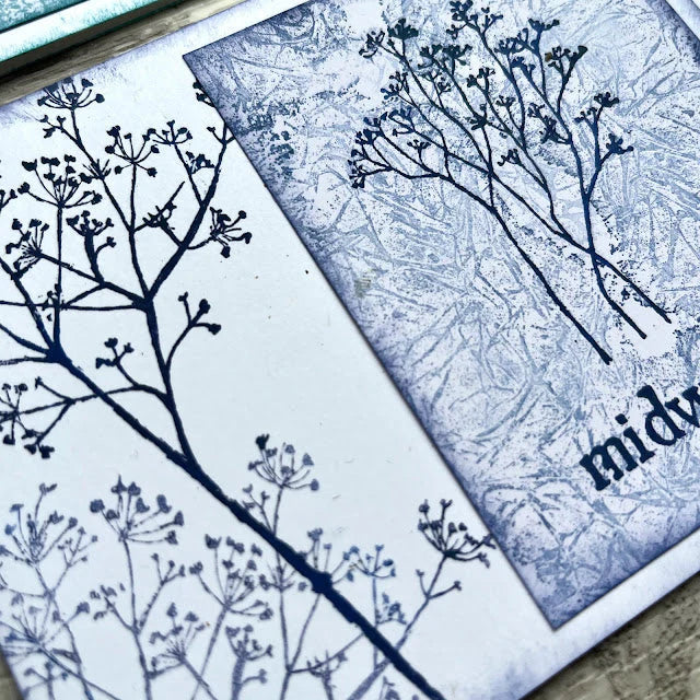 Eclectica³ Alison Bomber Winter Umbels Edition 44