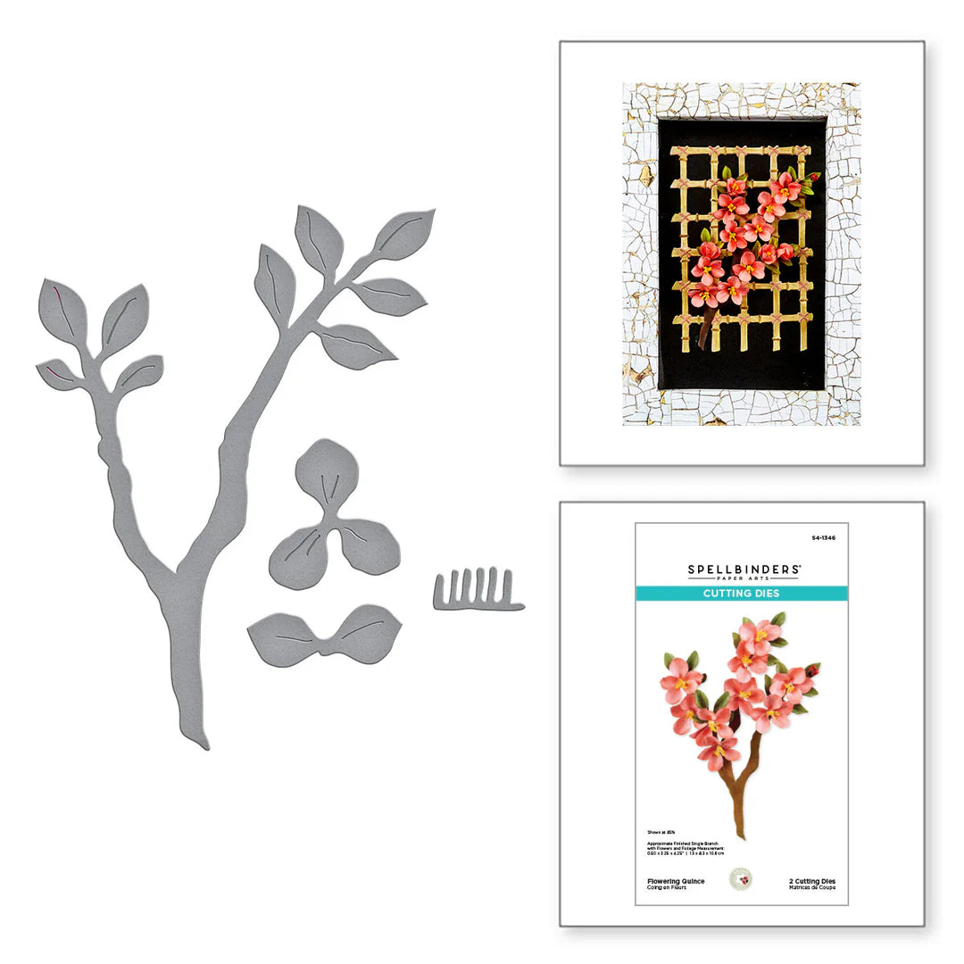 Spellbinders- Paper Arts -  Cutting Dies - Flowering Quince
