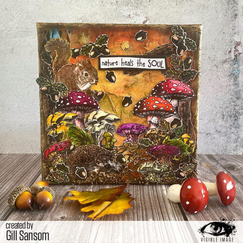 Visible Image clear stamps -Totally Toadstools