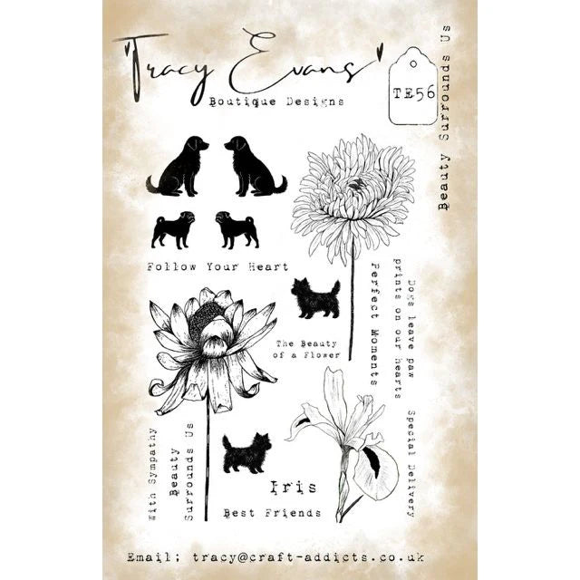 Tracy Evans Boutique Designs - Beauty Surrounds Us TE6