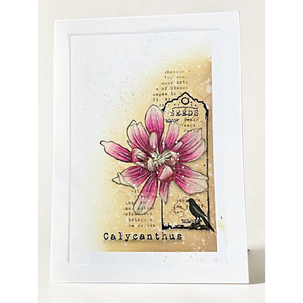 Tracy Evans Boutique Designs - Blossoms Of Hope TE62