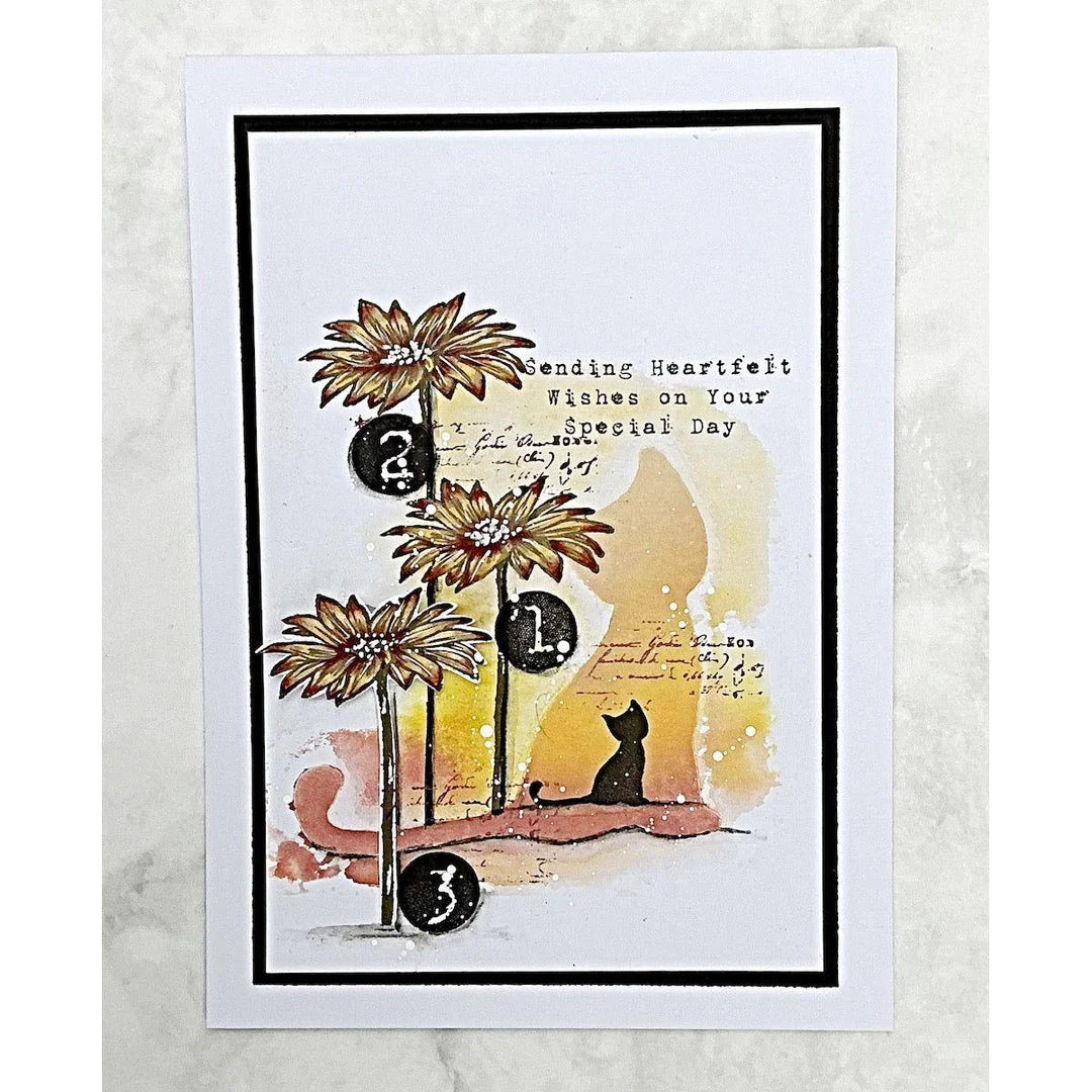 Tracy Evens Boutique Designs - Numerical Cats TE36