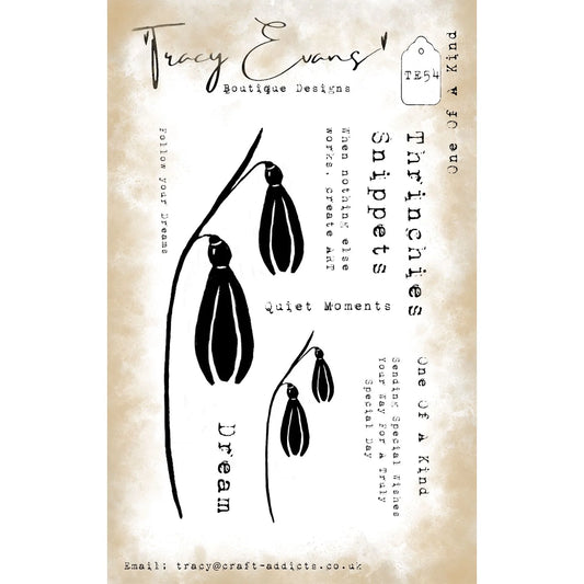 Tracy Evens Boutique Designs -One Of A Kind TE54