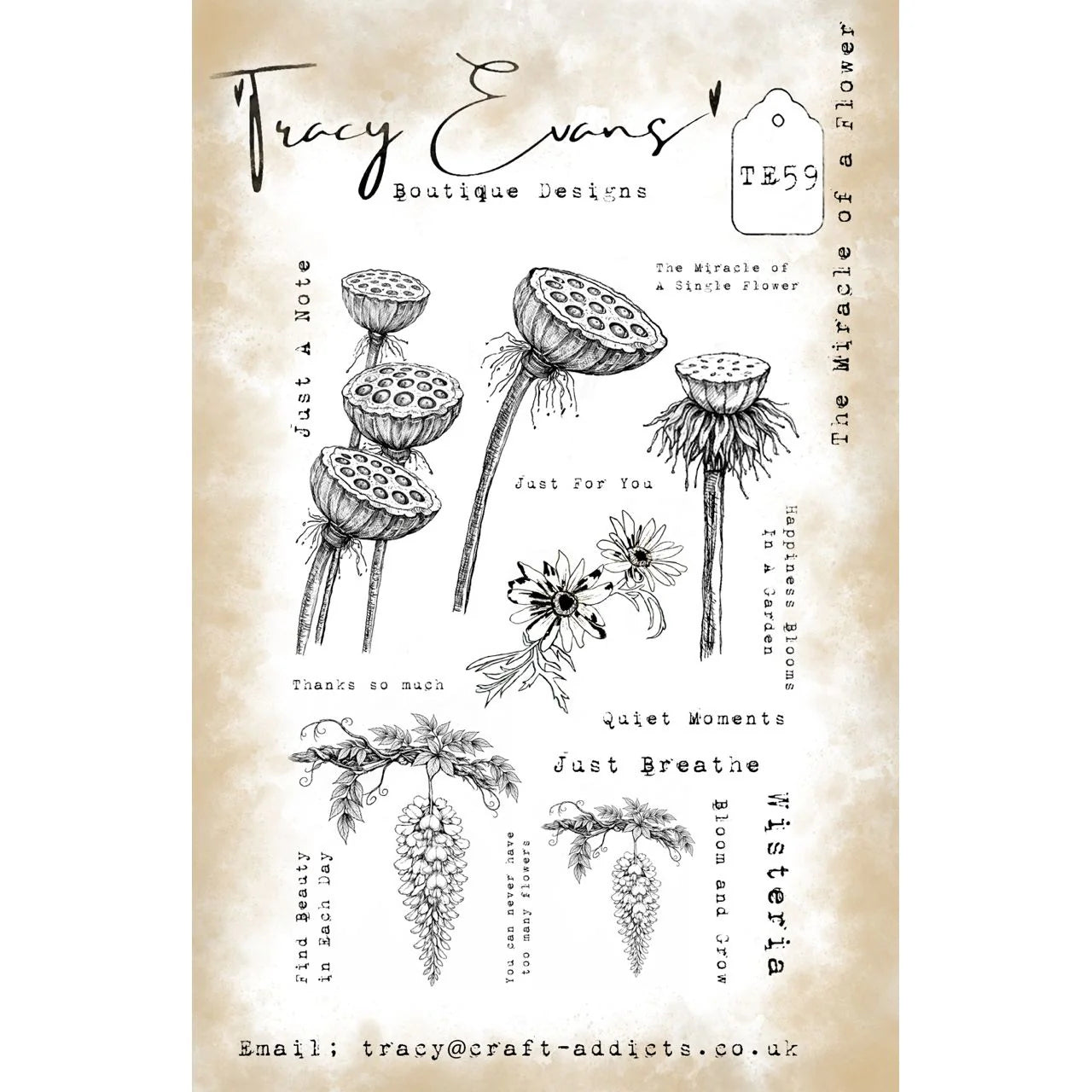 Tracy Evans Boutique Designs - The Miracle Of A Flower TE59