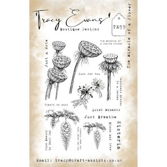 Tracy Evans Boutique Designs - The Miracle Of A Flower TE59
