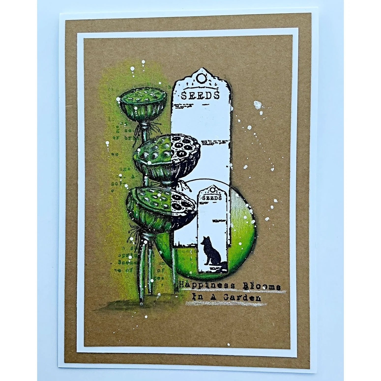 Tracy Evans Boutique Designs - The Miracle Of A Flower TE59