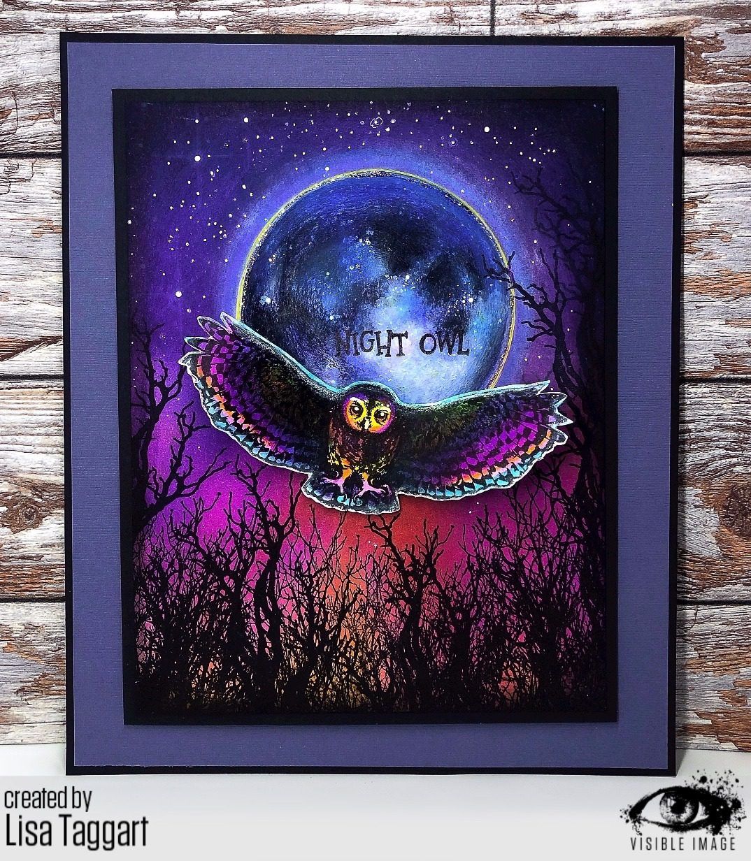 Visible Image clear stamps -Night Owl