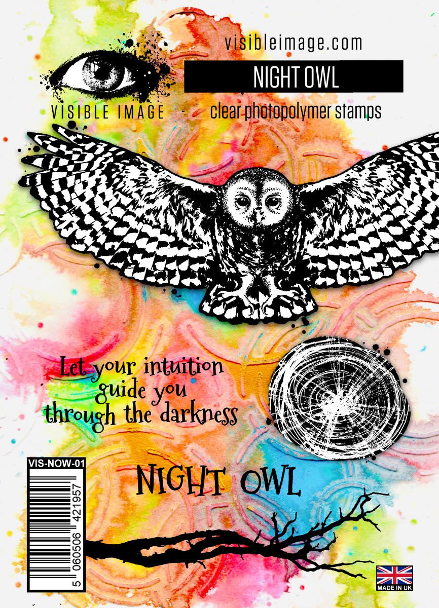 Visible Image clear stamps -Night Owlv