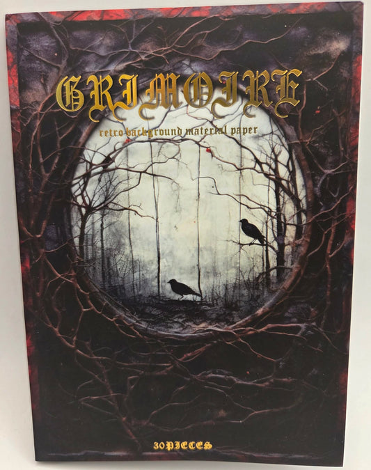 Magic Book Series  - Dark Windows paper book