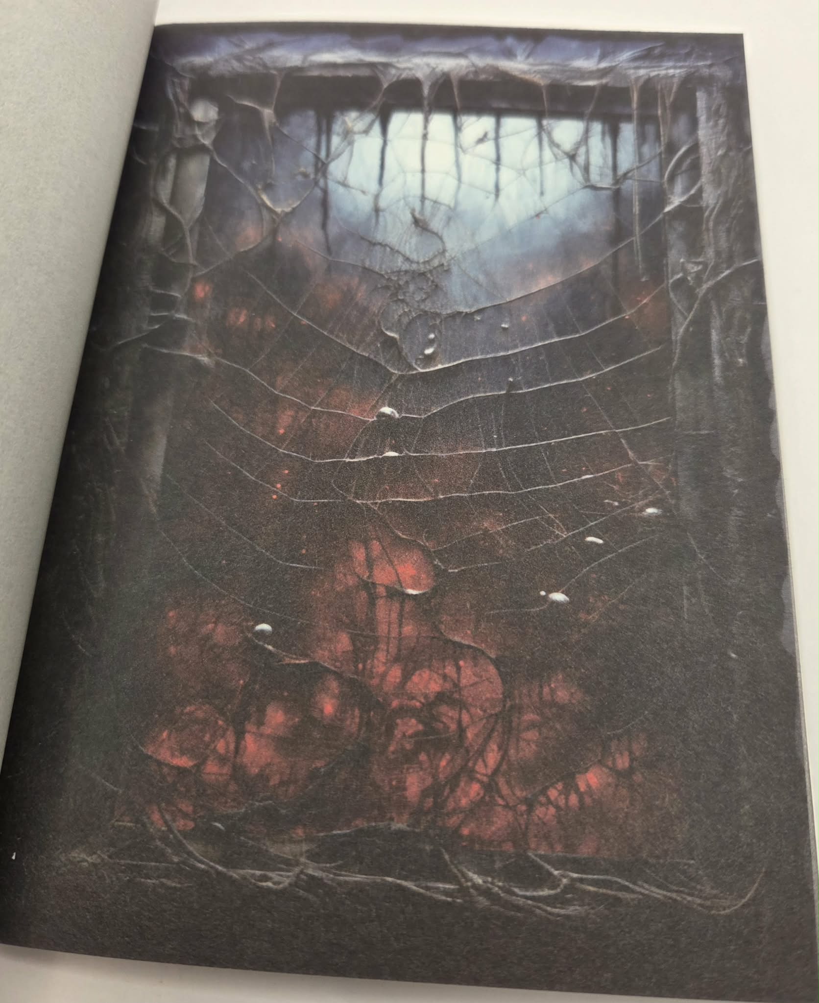 Magic Book Series  - Dark Windows paper book