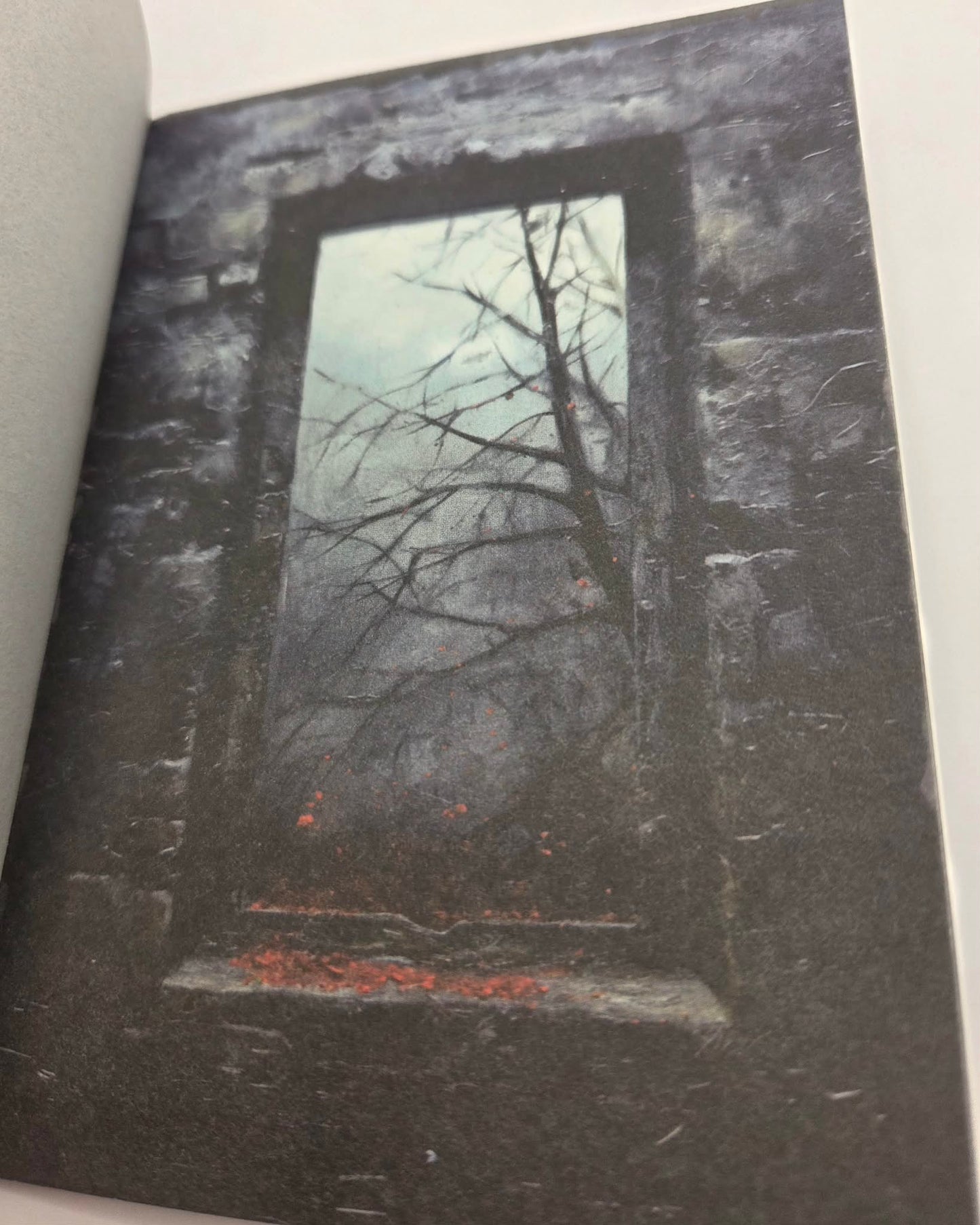 Magic Book Series  - Dark Windows paper book