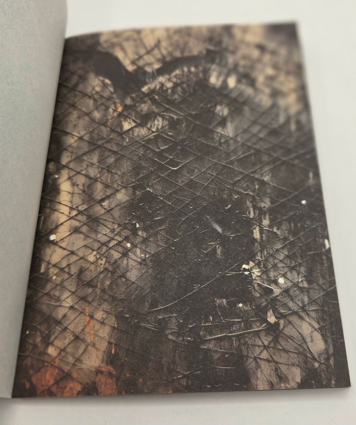 Magic Book Series  - Gothic Webs paper book