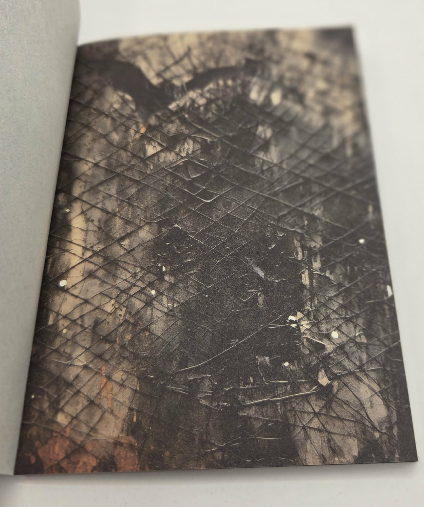Magic Book Series  - Gothic Webs paper book