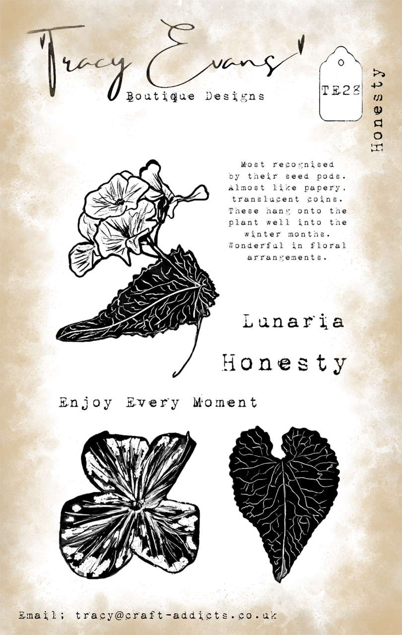 Tracy Evens Boutique Designs - Honesty TE28
