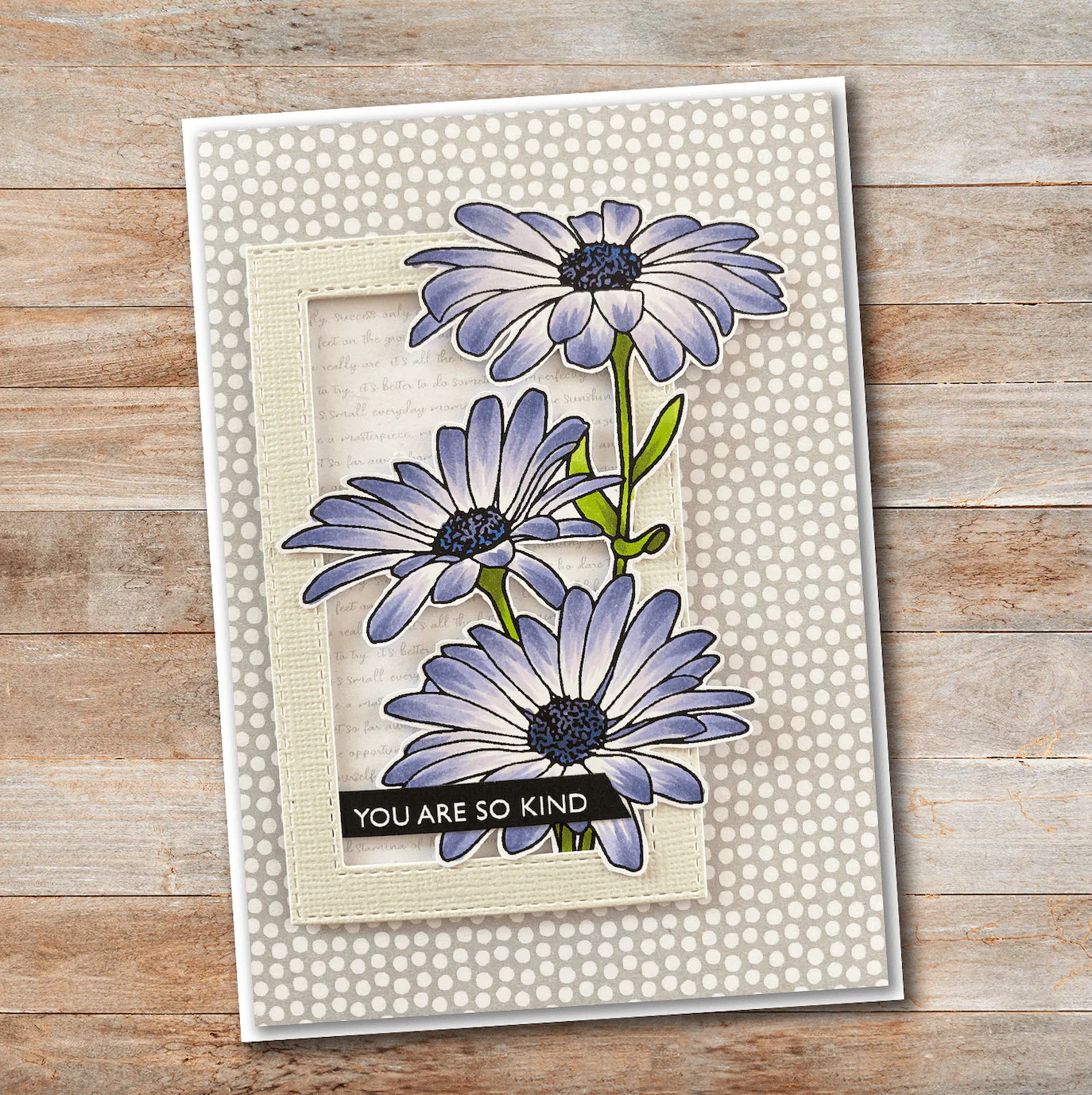 Paper Rose -  Clear Stamp Set - Daisy Bouquet 4x6 Set