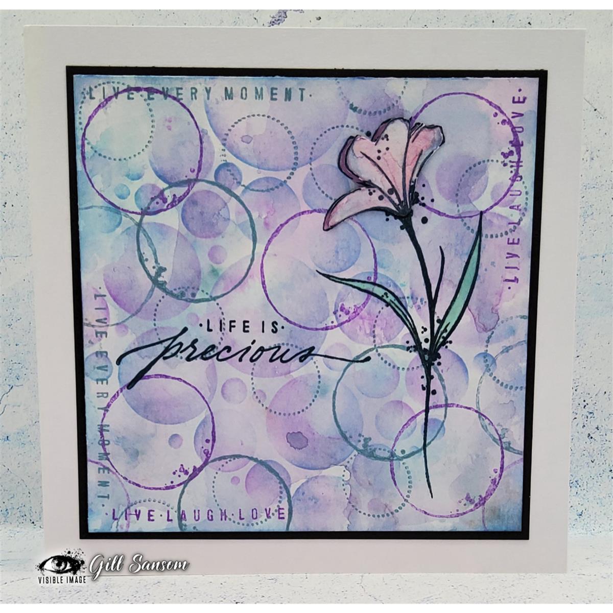 Visible Image clear stamps - Precious Life