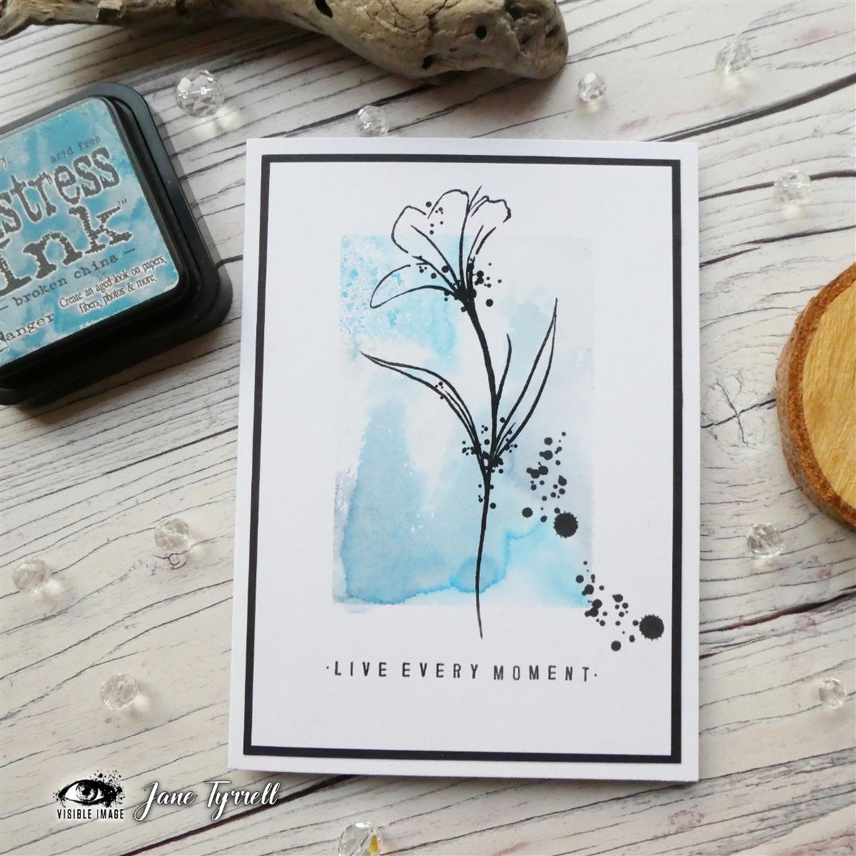 Visible Image clear stamps - Precious Life