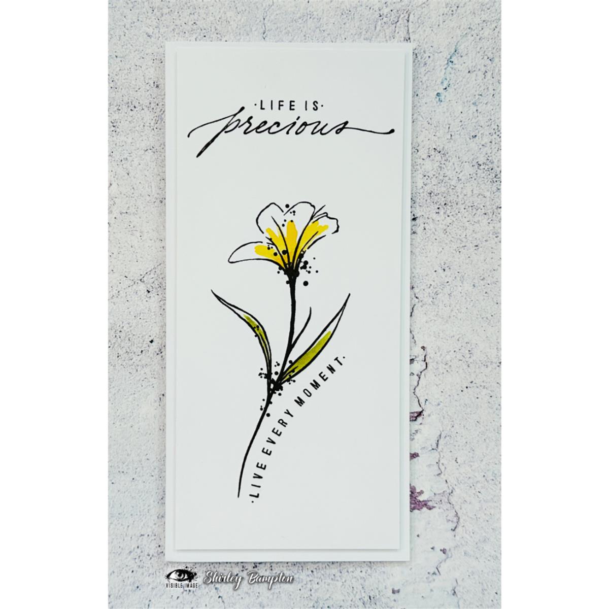Visible Image clear stamps - Precious Life
