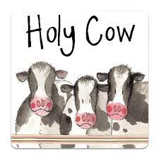 Alex Clark - Coaster - Holy Cow