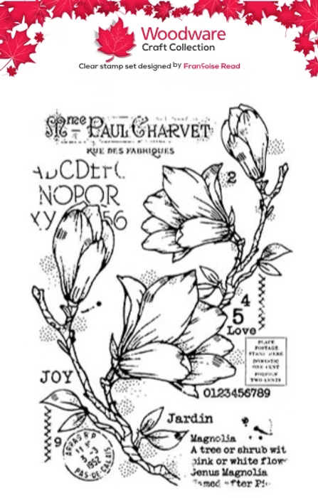 Woodware Craft Collection - Spring Magnolia