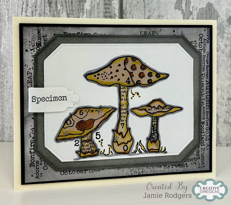 Woodware -Mushrooms - Clear Stamp Set