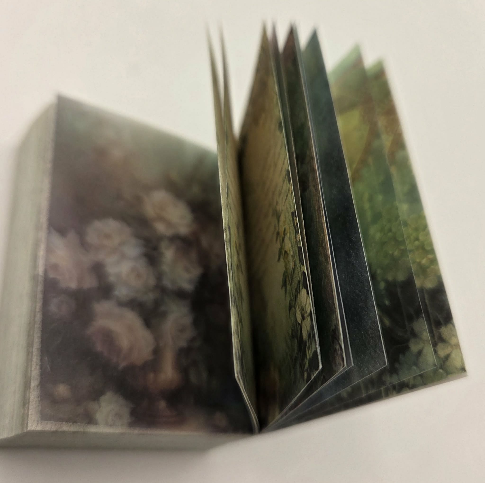 Mini Ephemera books - Green Forest Cabin
