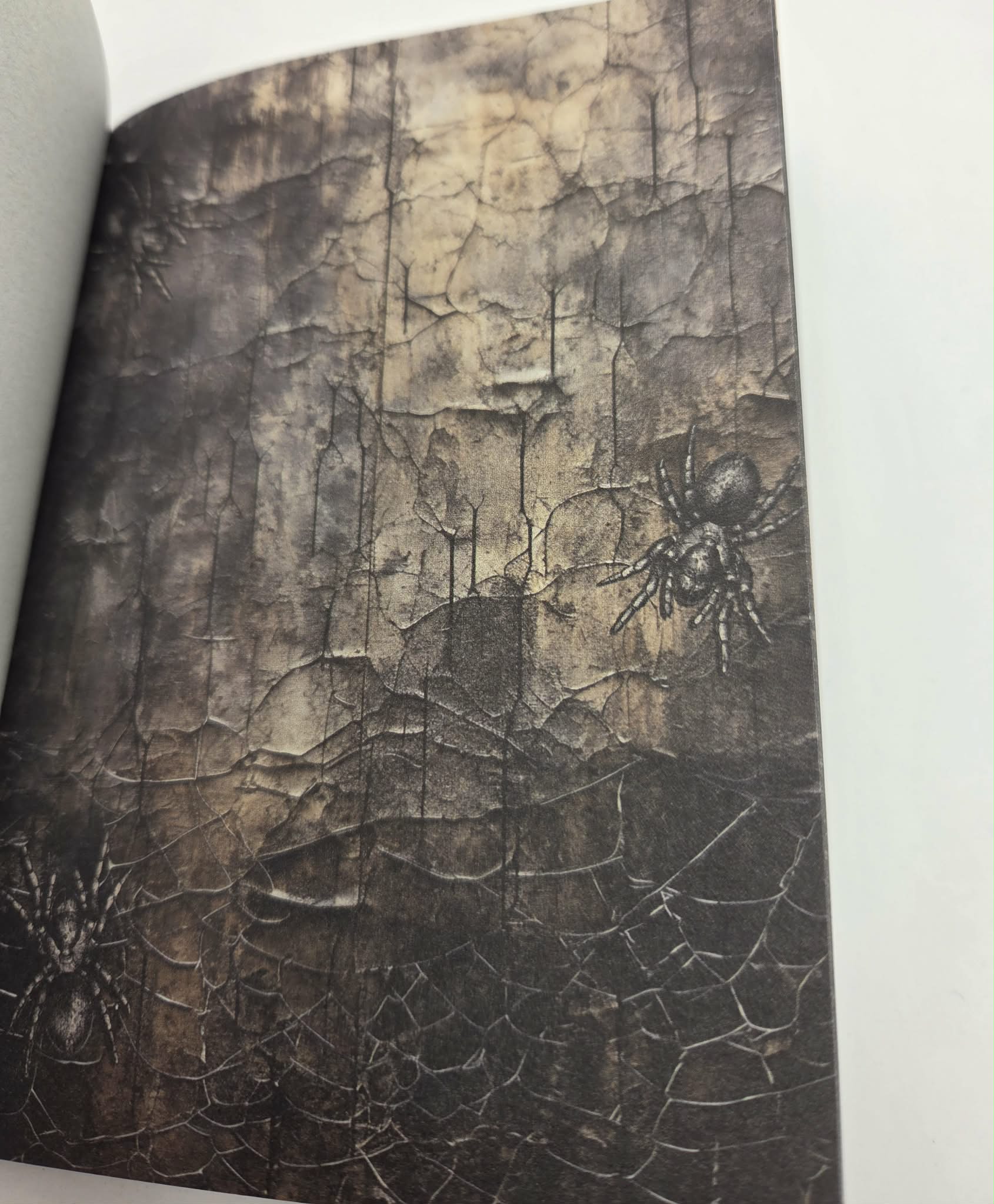 Magic Book Series  - Gothic Webs paper book