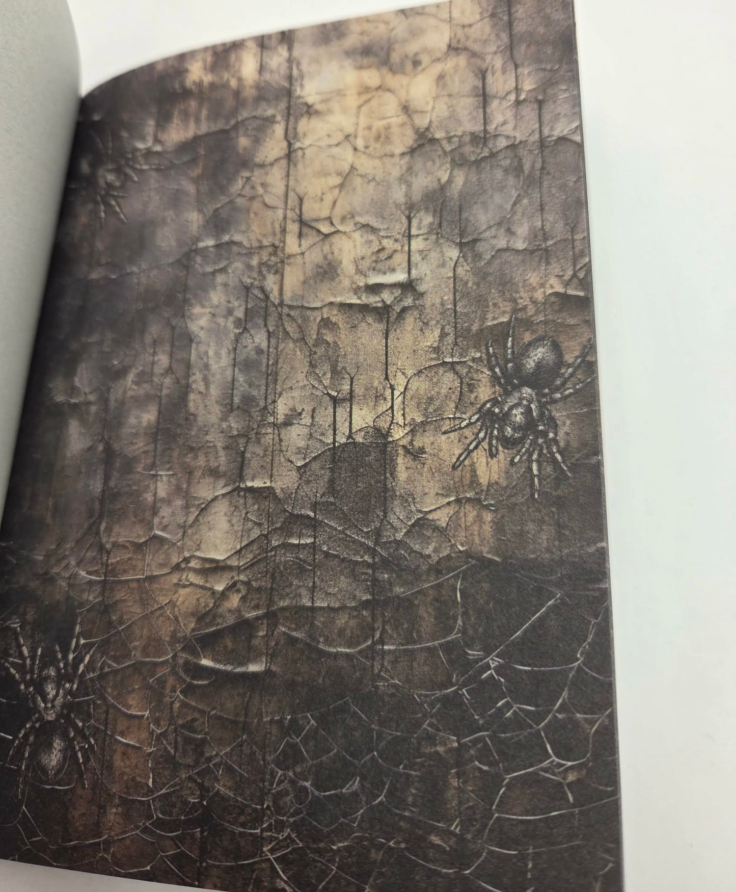 Magic Book Series  - Gothic Webs paper book