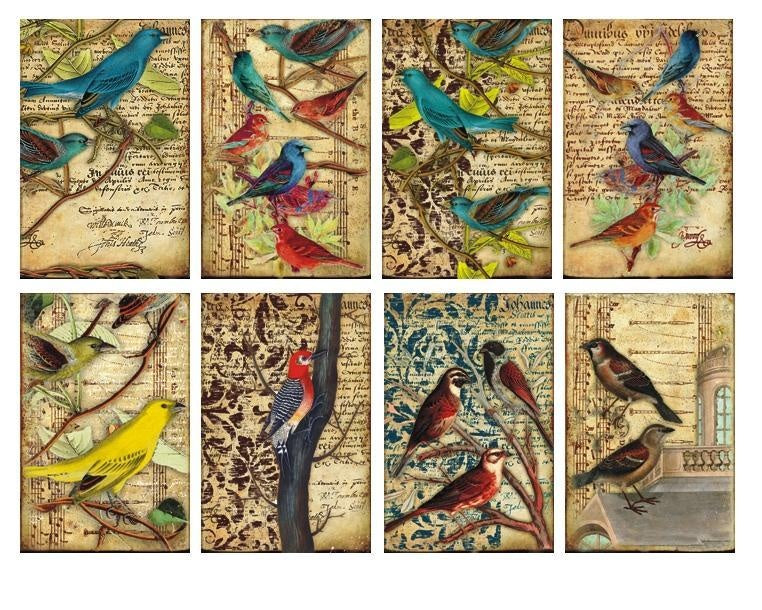 Decorer Scrapbook Paper - Birds - Mini