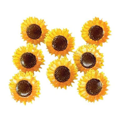 Eyelet Outlet and Brads -  Sunflower  Brads