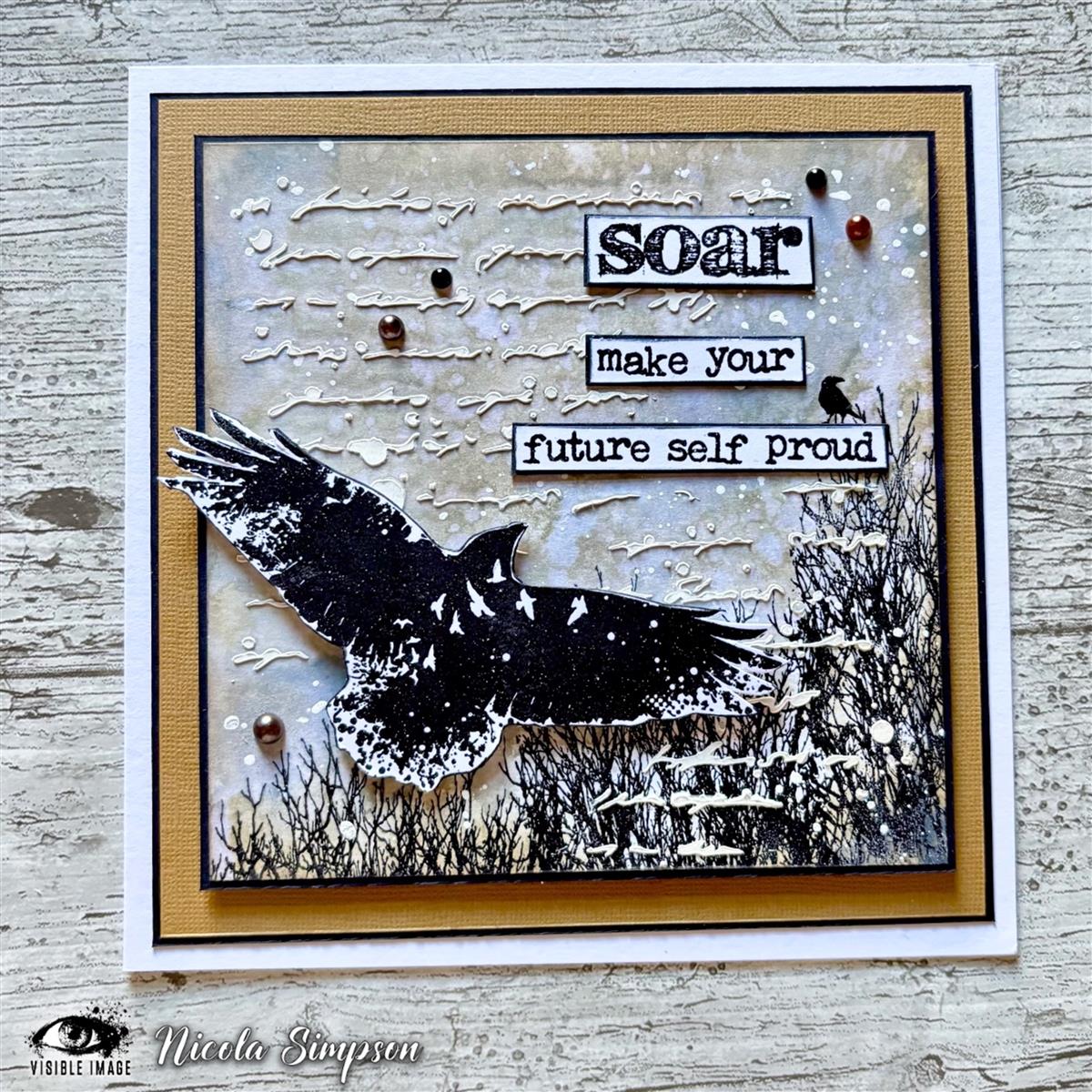 Visible Image clear stamps - Soar