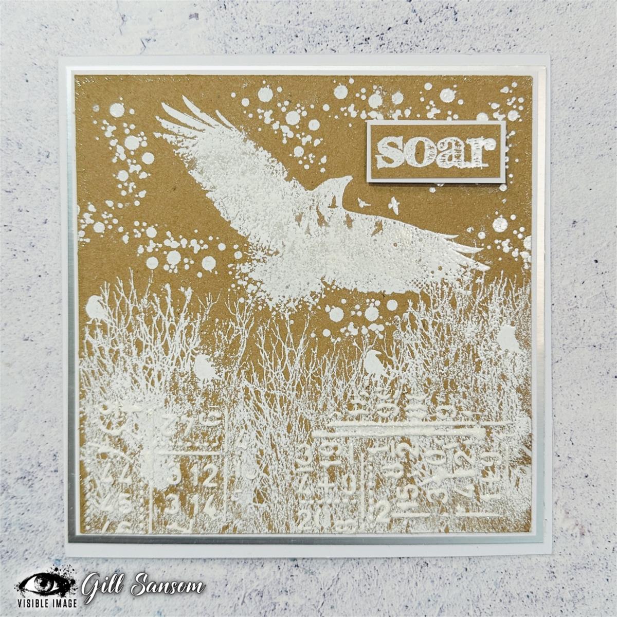 Visible Image clear stamps - Soar