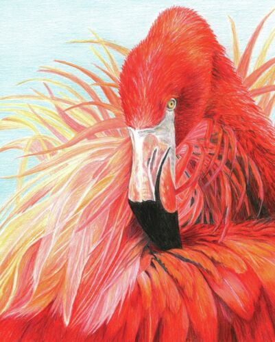 Colour Pencil By Numbers - Flamingo