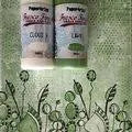 Paper Artsy Fresco Finish Chalk Acrylics - Lawn