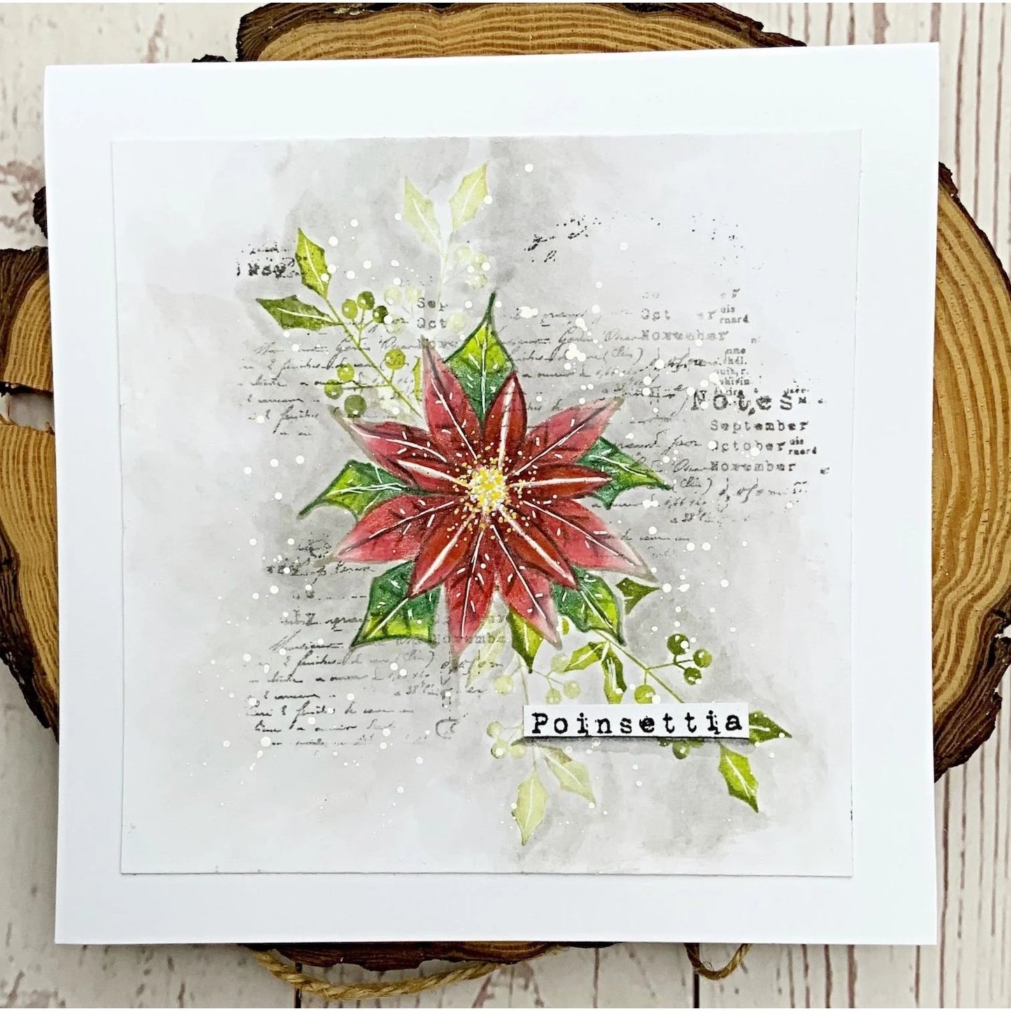 Tracy Evens Boutique Designs - Poinsettia