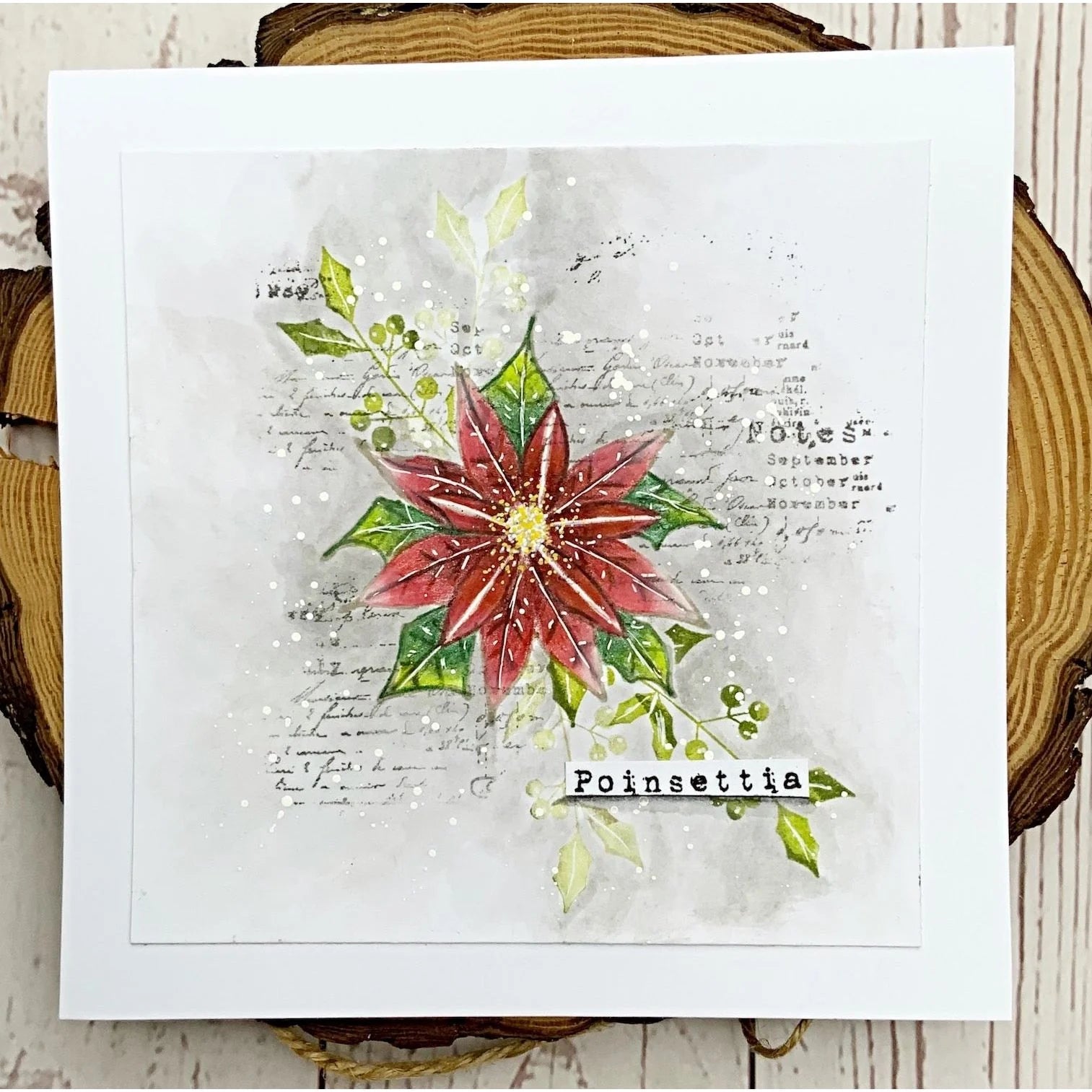 Tracy Evens Boutique Designs - Poinsettia