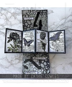 Element Stencils - Stampers Anonymous - Freight
