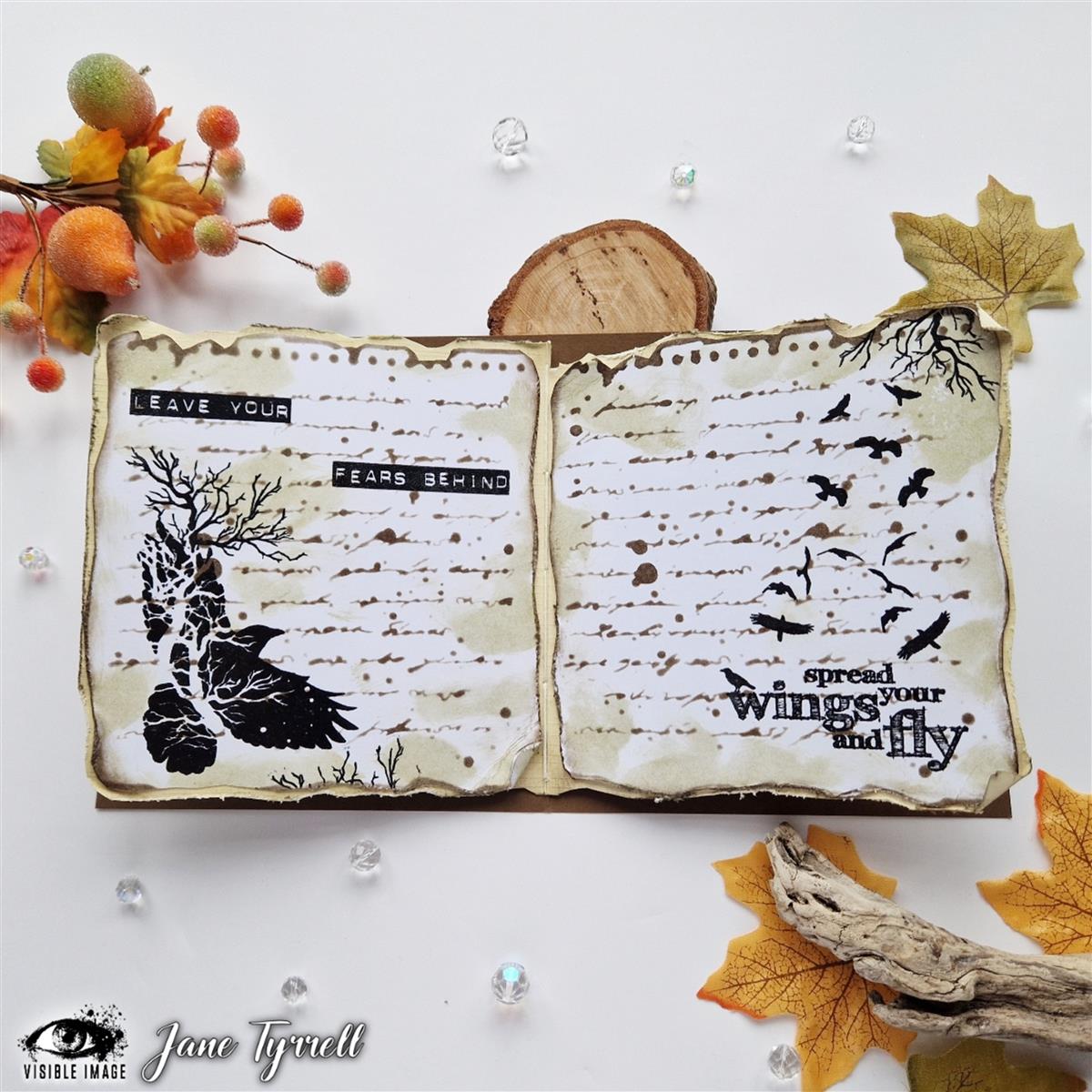 Visible Image clear stamps - Spread Your Wings