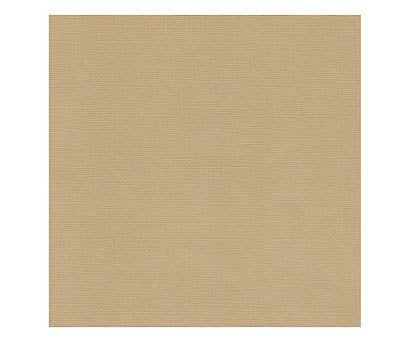 12 x 12 Textured Card - Canvas - Brown Sugar 216 gsm (Single Sheet) Arts & Crafts 10Cats