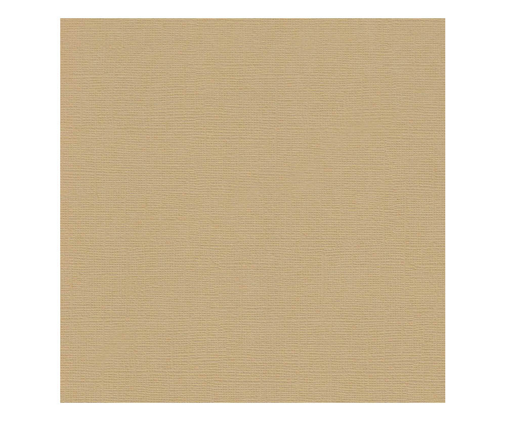 12 x 12 Textured Card - Canvas - Caramel 216 gsm (Single Sheet) Arts & Crafts 10Cats