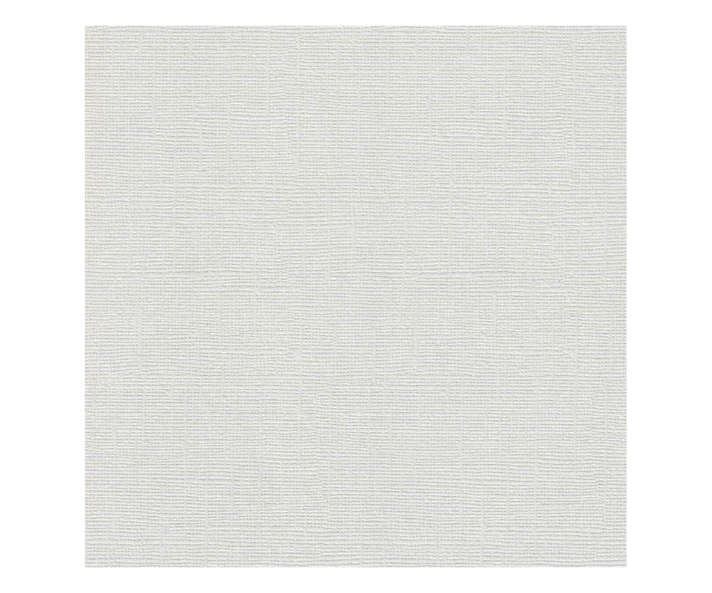 12 x 12 Textured Card - Canvas - Gray 216 gsm (Single Sheet) Arts & Crafts 10Cats