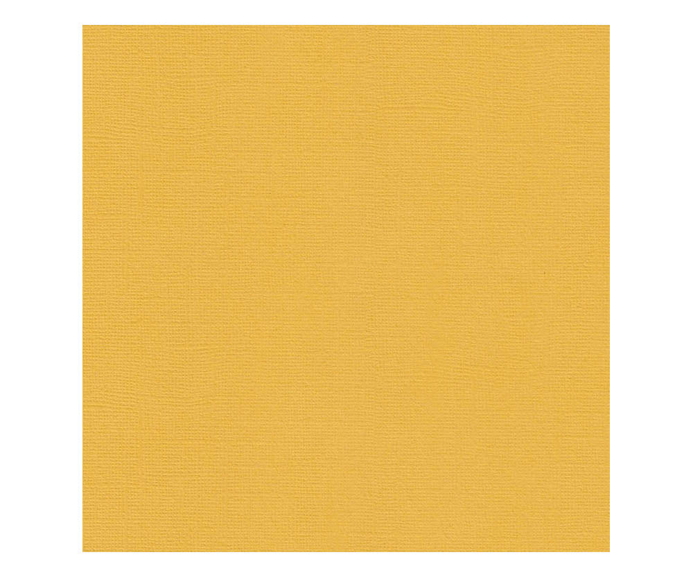 12 x 12 Textured Card - Canvas - Mustard 216 gsm (Single Sheet) Arts & Crafts 10Cats