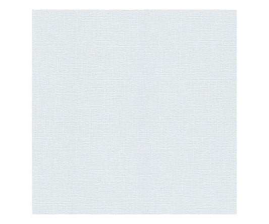 12 x 12 Textured Card - Canvas - Rain 216 gsm (Single Sheet) Arts & Crafts 10Cats