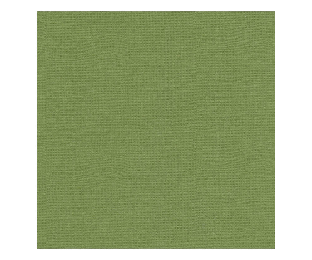 12 x 12 Textured Card - Canvas - Spinach 216 gsm (Single Sheet) Arts & Crafts 10Cats