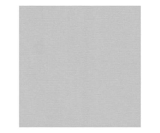 12 x 12 Textured Card - Canvas - Stone 216 gsm (Single Sheet) Arts & Crafts 10Cats