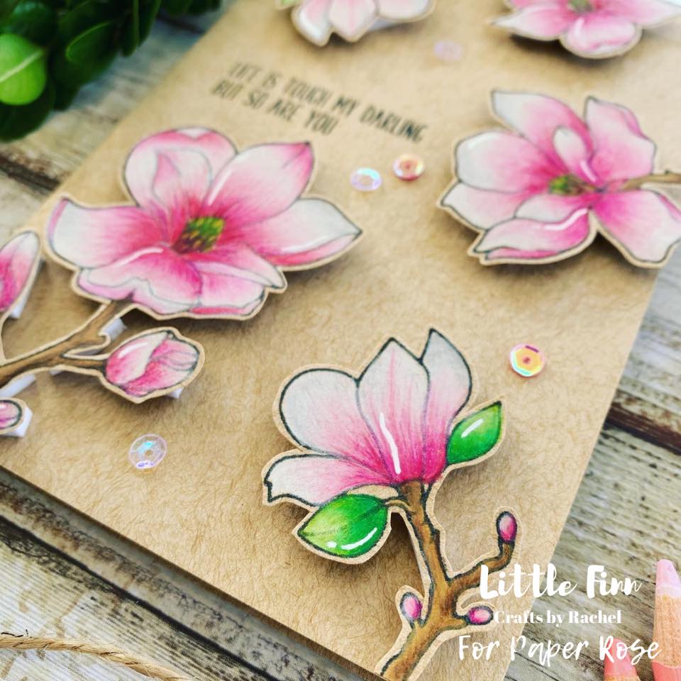Paper Rose -  Metal Die Set  - Lovely Florals Magnolia
