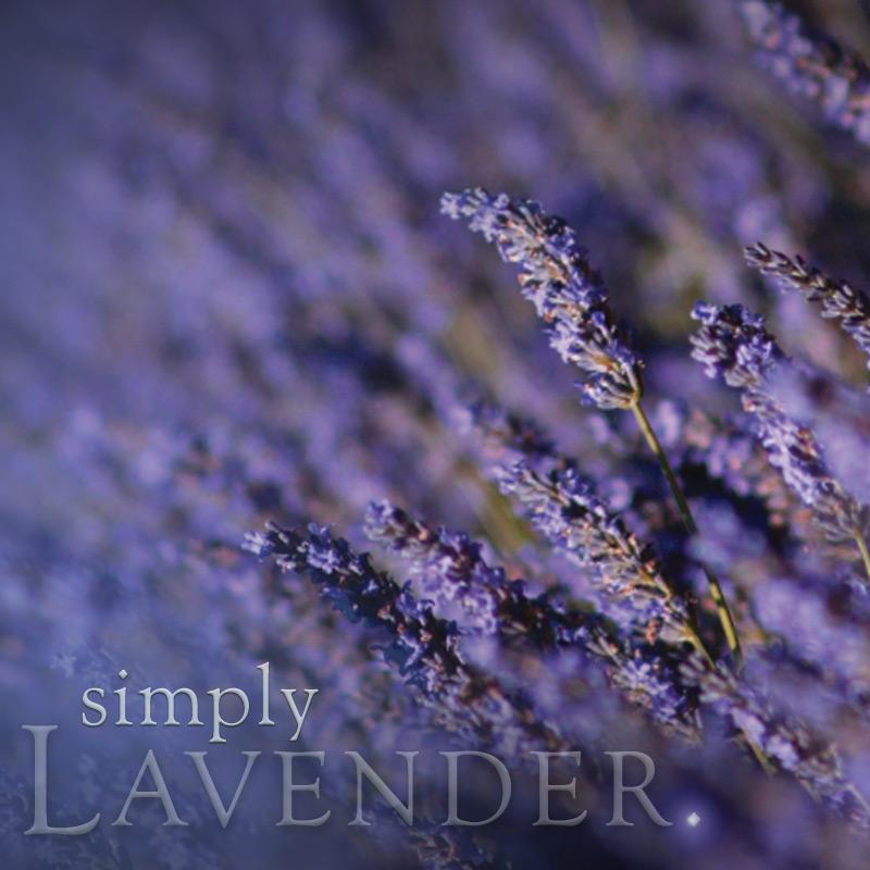 Simply Lavender - Reed Diffuser Refill